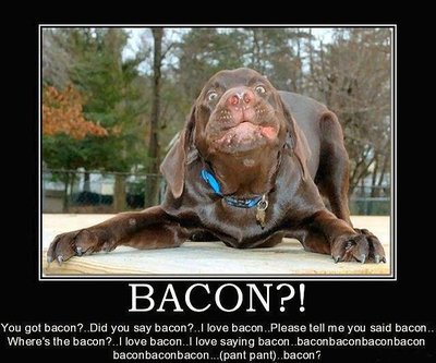 good dog.jpg (58.93 KiB) Viewed 104697 times good dog.jpg
